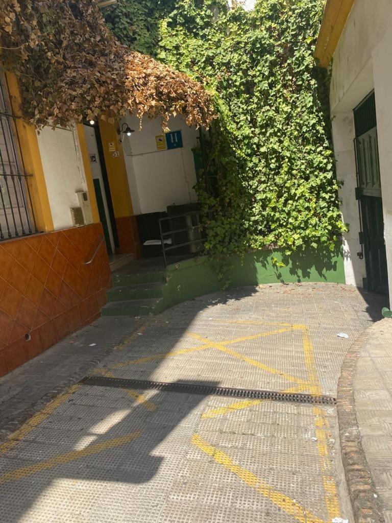 RentalSevilla Moderno y comodo apartamento en Santa Cruz con Parking Exterior foto